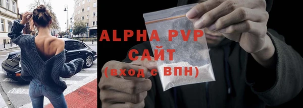 стаф Ладушкин