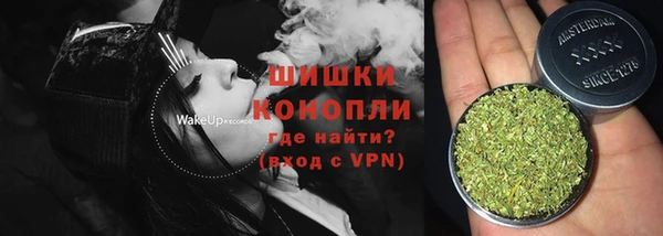 прущие грибы Куйбышев