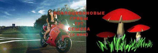 стаф Ладушкин