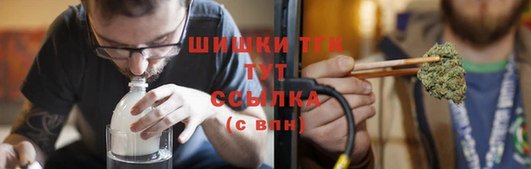стаф Ладушкин