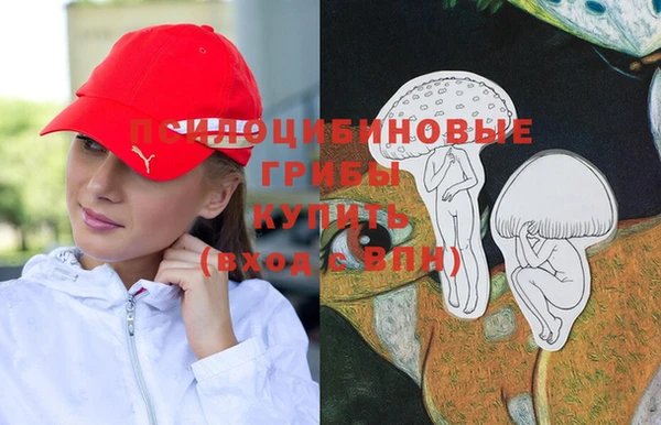 МДМА Лагань