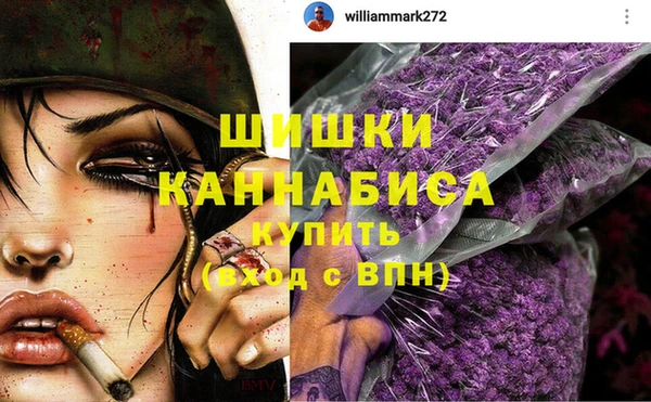 прущие грибы Куйбышев