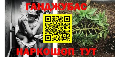 спайс Краснодар