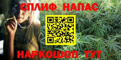 дмт Краснознаменск