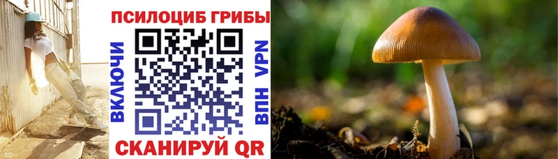 купить наркотик  Чапаевск  omg   Галлюциногенные грибы ЛСД 