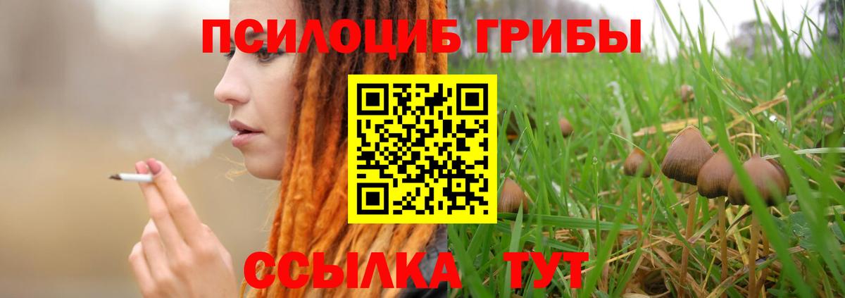 Галлюциногенные грибы Psilocybe  Вход с VPN  Чапаевск 